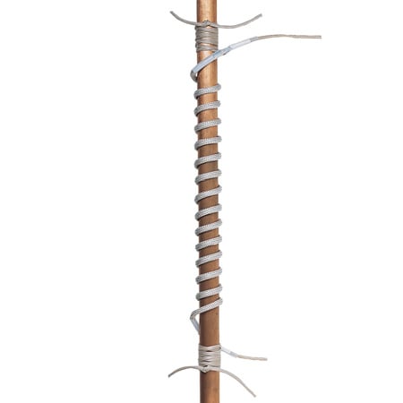 FGR