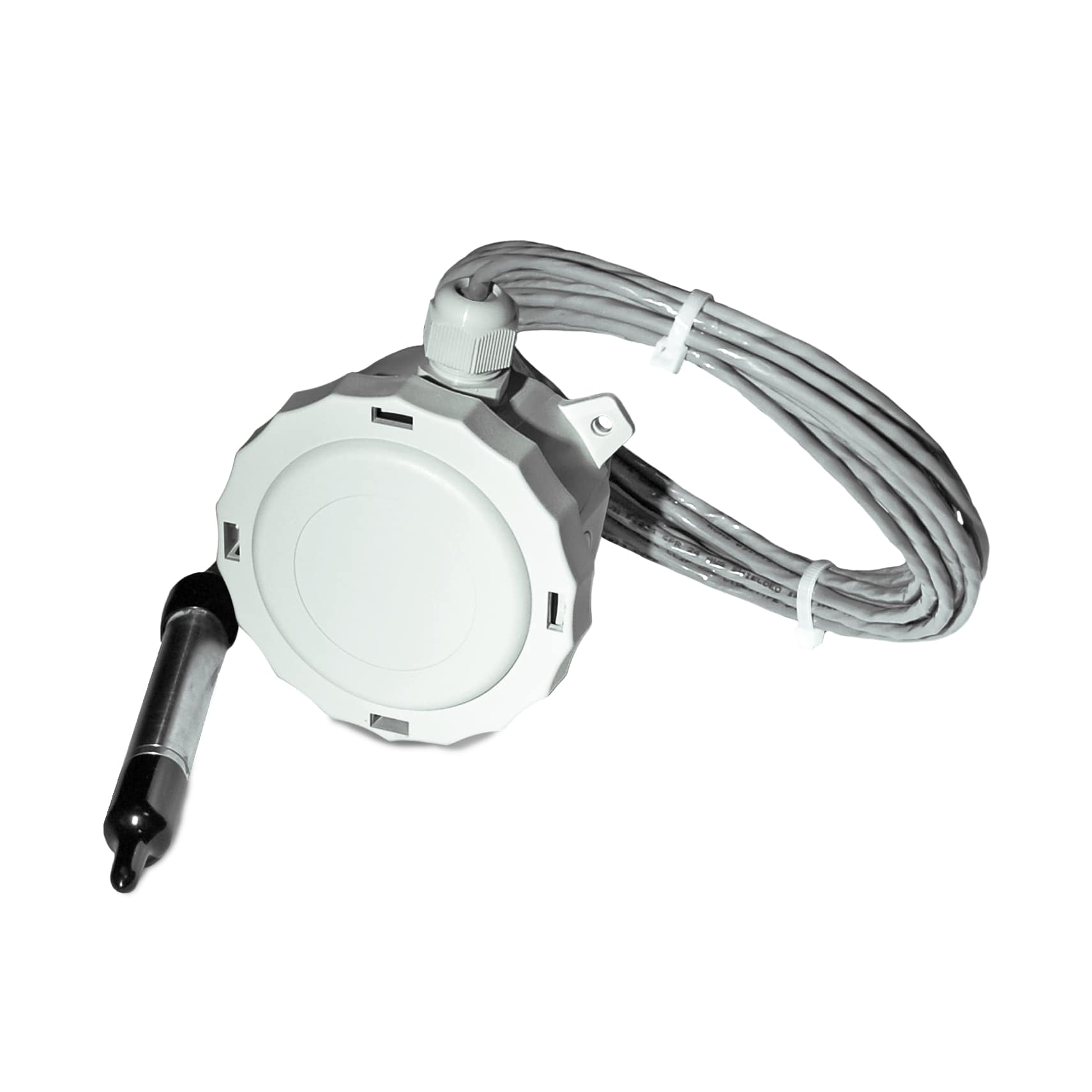 RH-Combo-Remote-Probe-Temp-Transmitter