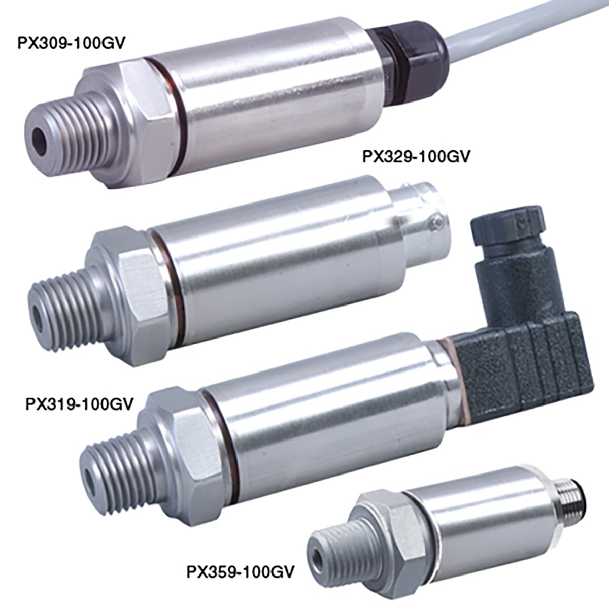 PX319-001G5V